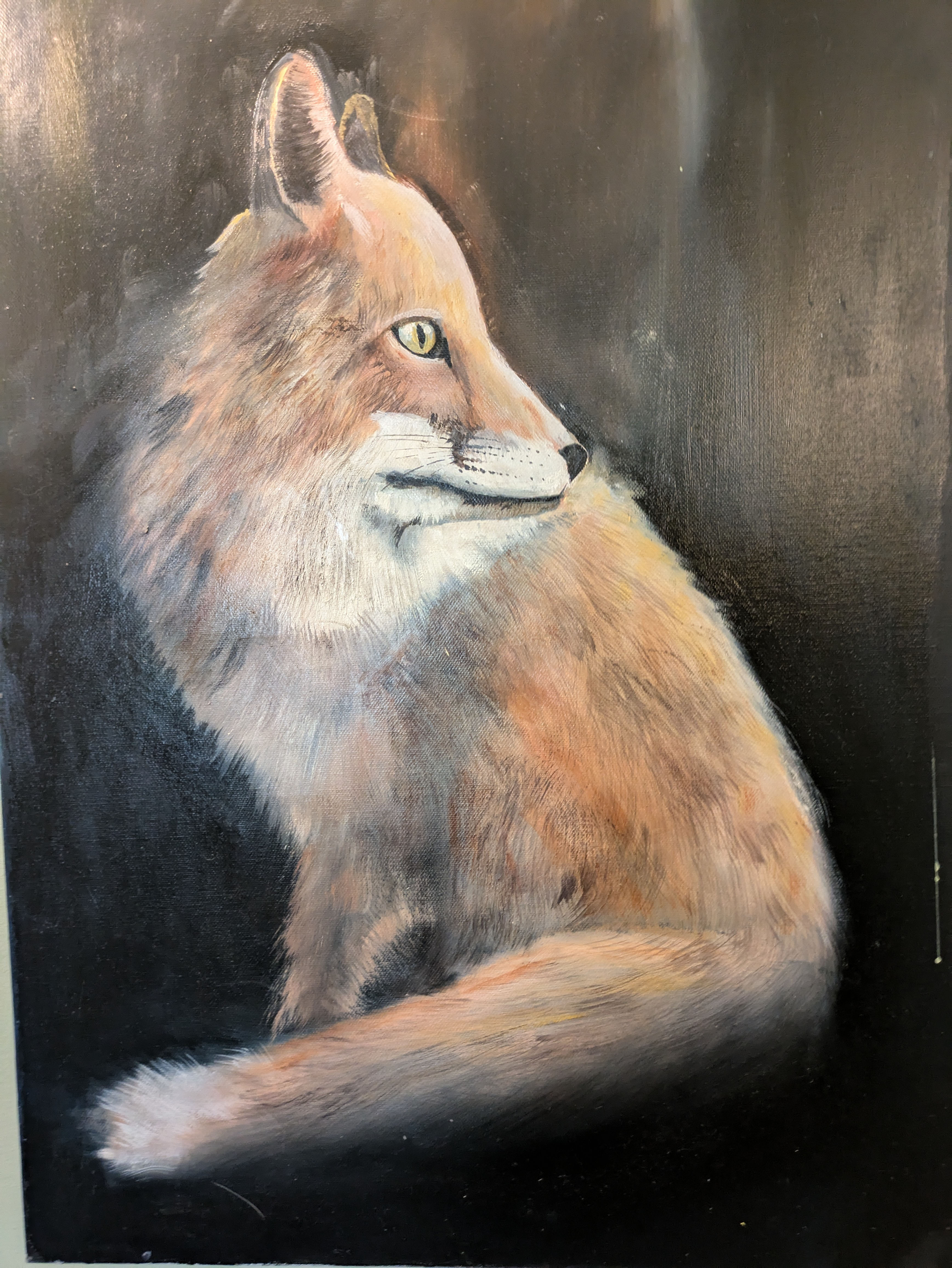 fox